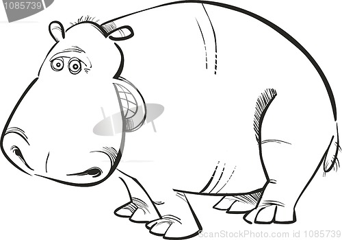 Image of Hippopotamus for coloring book