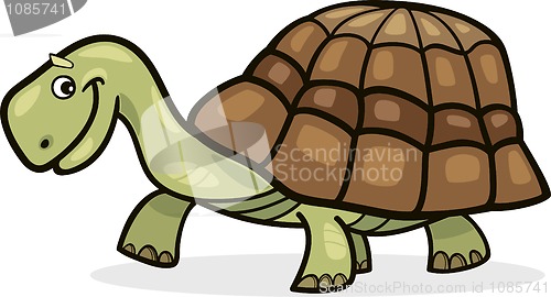 Image of Turtle