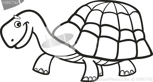 Image of Turtle for coloring book