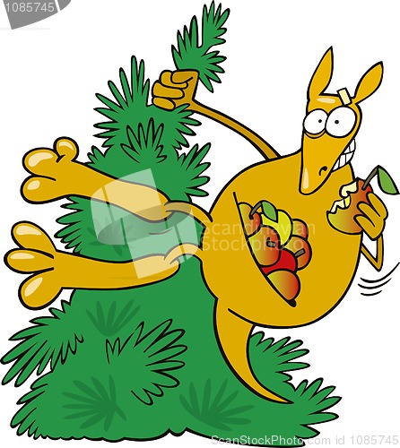 Image of Kangaroo on tree