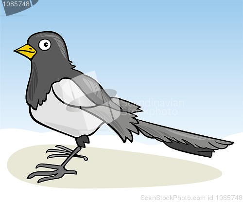 Image of Magpie