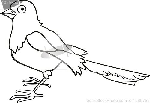 Image of Magpie for coloring book