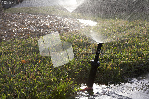 Image of Water sprinkler