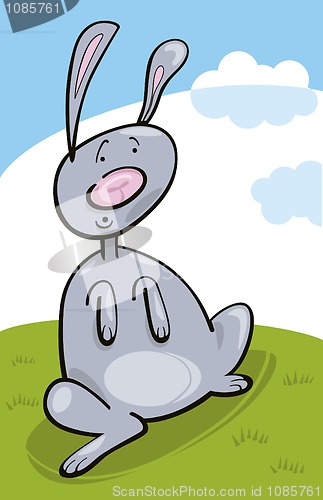 Image of Rabbit