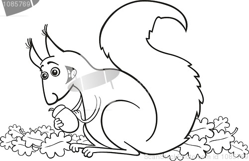 Image of Squirrel with nut for coloring book