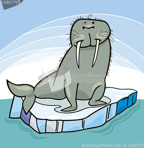 Image of Walrus on floating ice