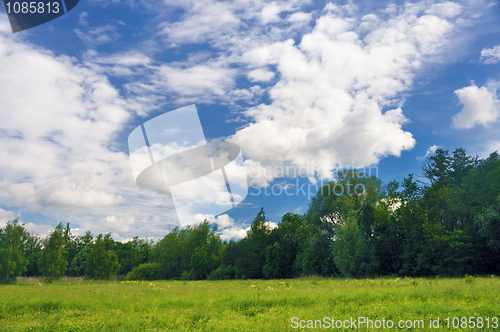 Image of Landscape of a green field with trees