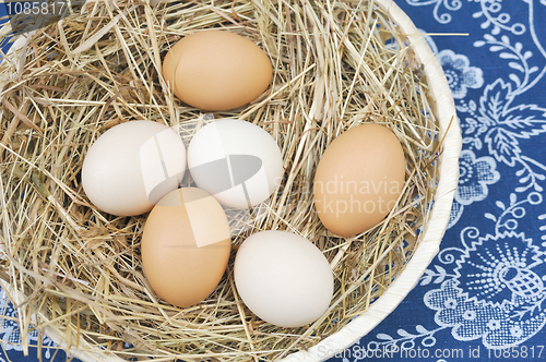 Image of Fresh farm eggs in scuttle with hay