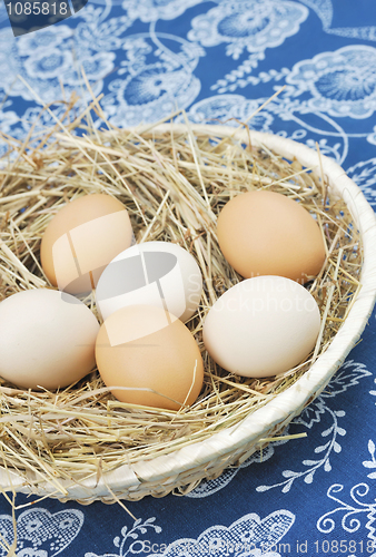 Image of Fresh farm eggs in scuttle with hay