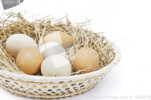 Image of Fresh farm eggs in scuttle with hay