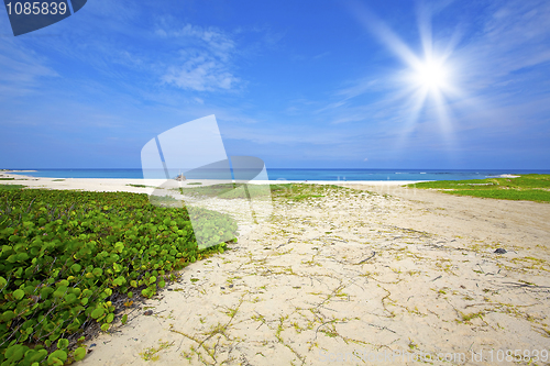 Image of Boca Grandi beach