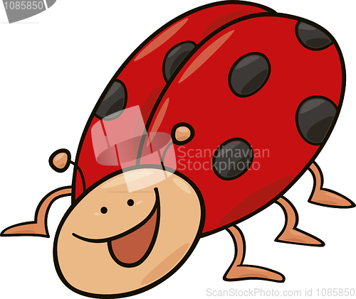 Image of funny ladybug