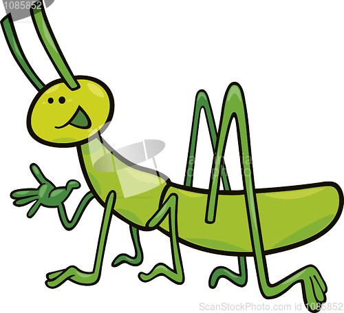 Image of funny grasshopper