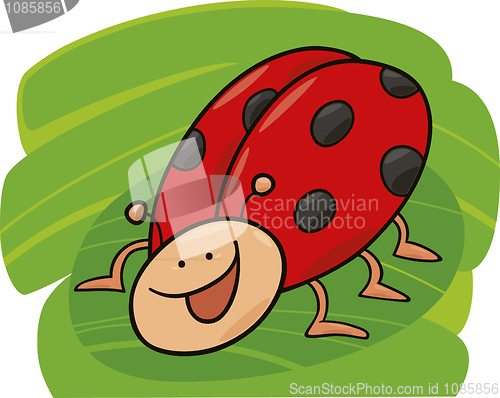 Image of funny ladybug