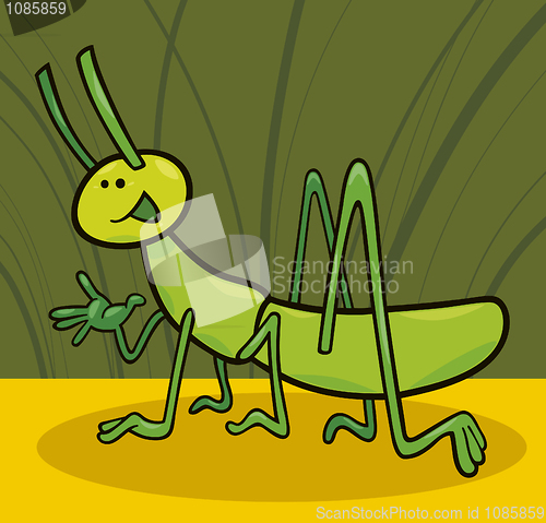 Image of funny grasshopper