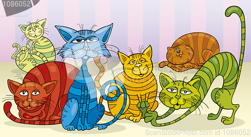 Image of color cats group