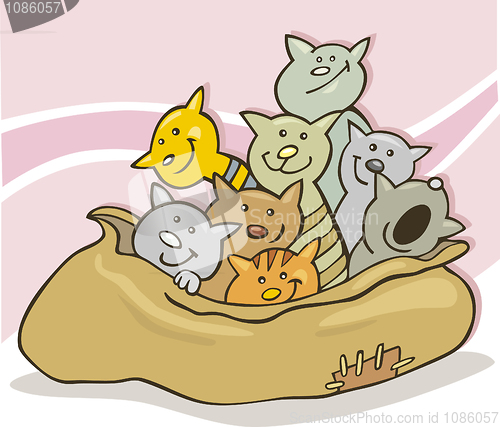 Image of Cats in sack