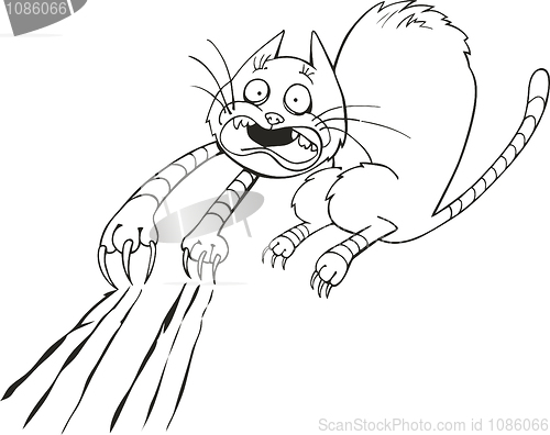 Image of Frightened cat for coloring book