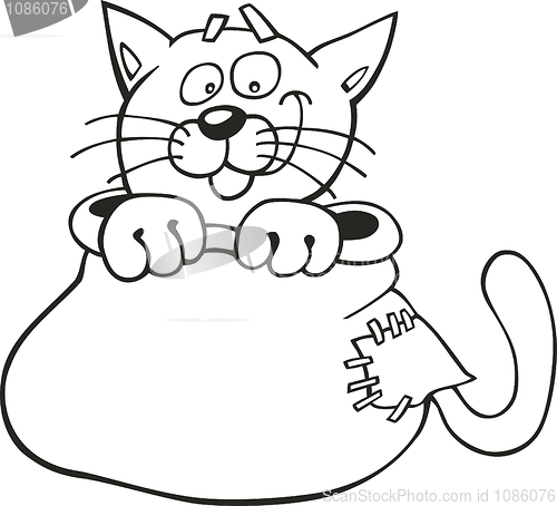 Image of Cat in sack for coloring book