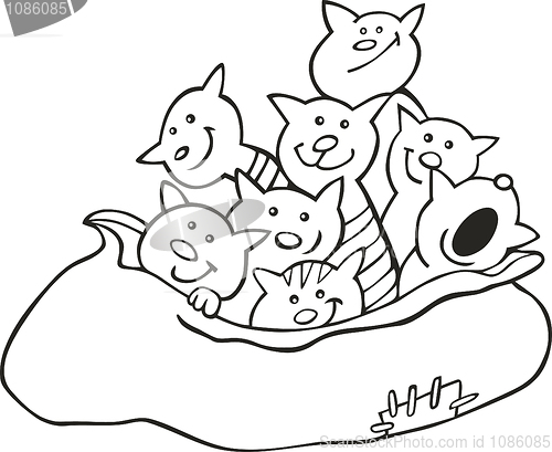 Image of Cats in sack for coloring book