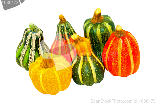 Image of Pumpkin gourds isolated