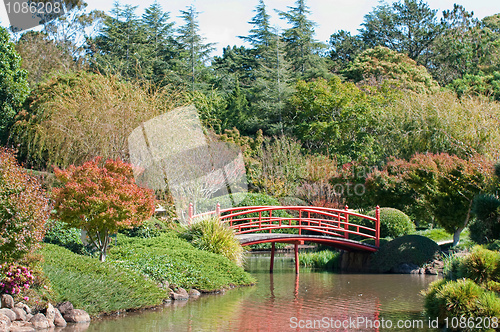 Image of beautiful garden and park