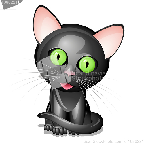 Image of Little black cat