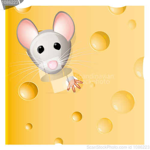 Image of A mouse eating a piece of cheese 