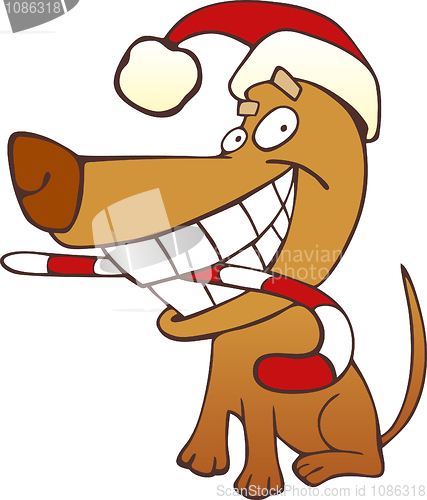 Image of Christmas dog