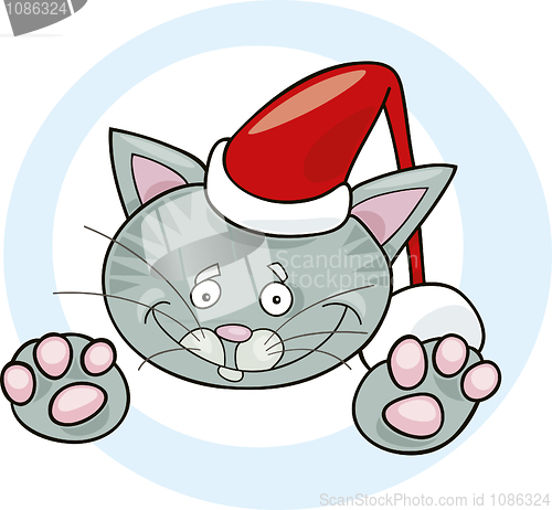 Image of Santa claus cat