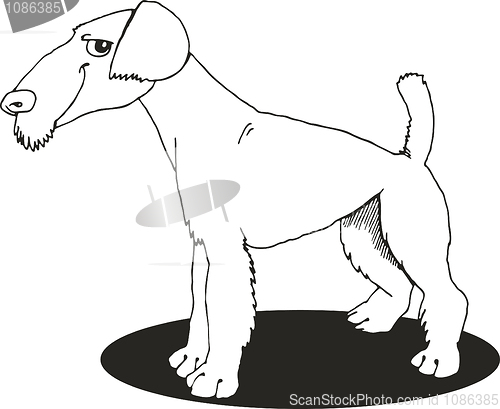 Image of Airedale terrier for coloring book