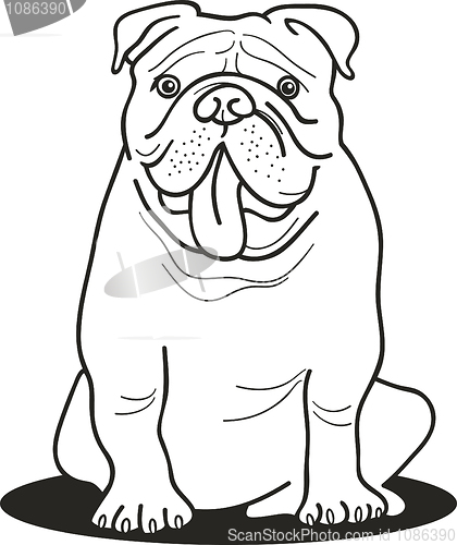Image of bulldog for coloring book