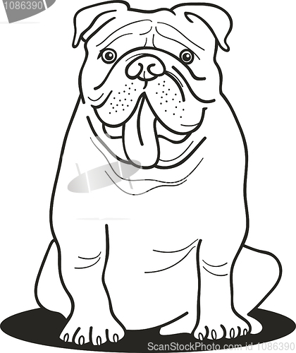 Image of bulldog for coloring book