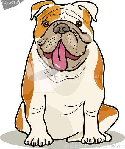 Image of dog breeds: bulldog