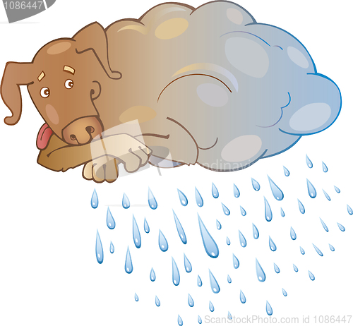 Image of Rainy Dog