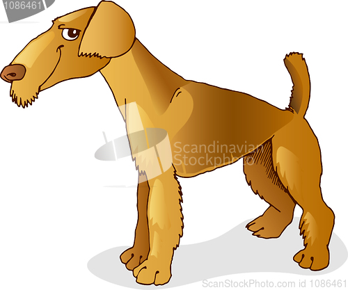 Image of Airedale terrier dog