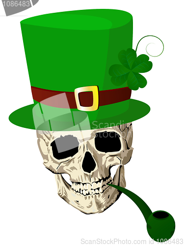 Image of St.Patrick skull