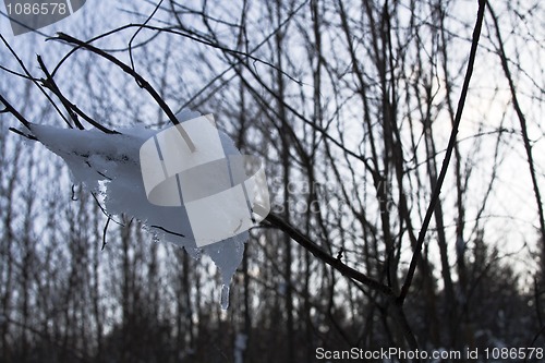 Image of Ice and Snow