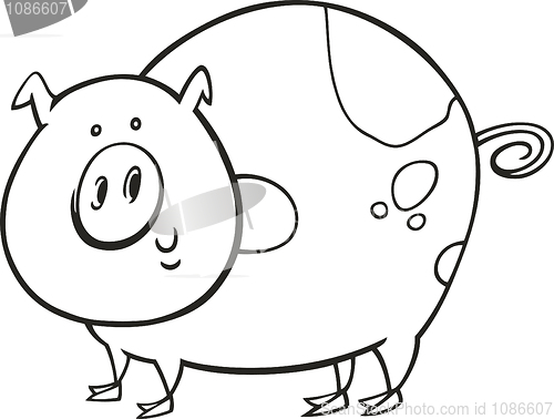 Image of spotted pig for coloring book