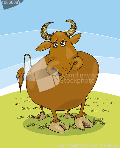 Image of Bull