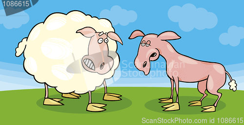 Image of Frightened sheep and shaved one