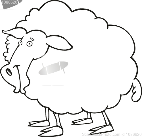 Image of  Sheep for coloring book