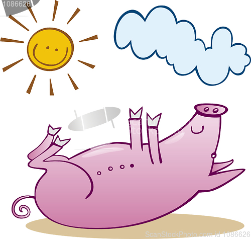 Image of Pig take sunbath