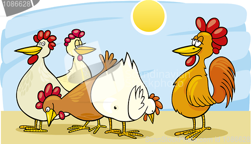 Image of Rooster and hens