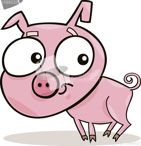 Image of cute piggy