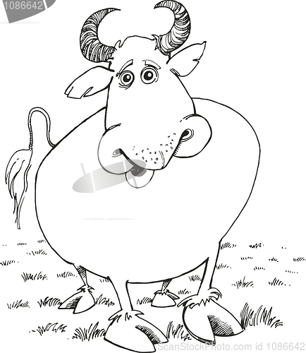 Image of Bull for coloring book