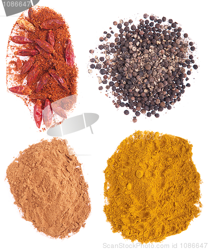 Image of Spices collection