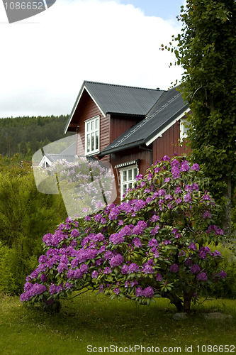 Image of House and garden