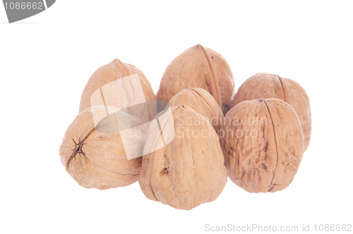 Image of Walnuts