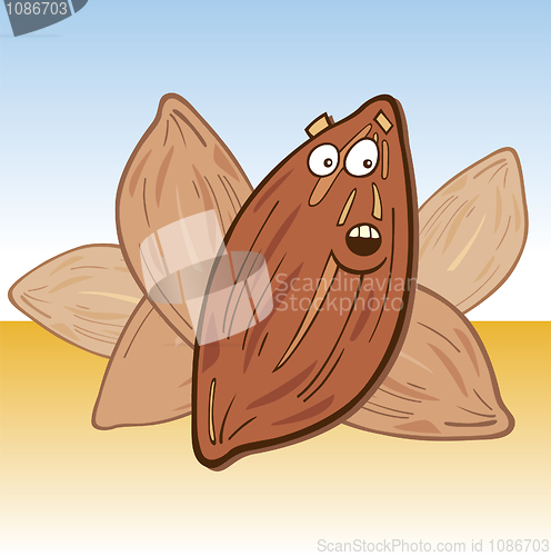 Image of Cartoon almond